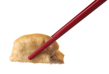 Chopsticks with delicious gyoza (asian dumpling) isolated on white