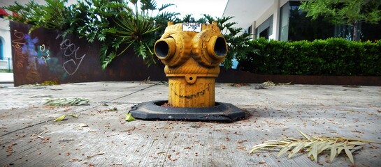 Arte Urbano, Graffiti 