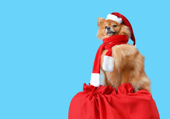 Cute Pomeranian dog in Santa hat on bag of Christmas gifts on blue background