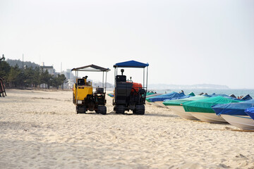 Obraz premium two cranes on the beach