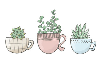 Ilustracion digital de plantas suculentas dentro de tazas de color pastel © Daiana