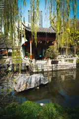 Obraz premium japanese garden with pond