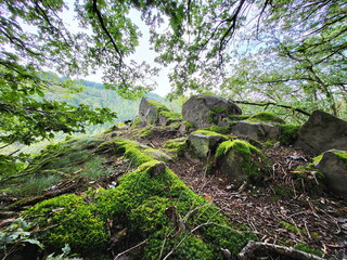 Moosbedeckte Felsformation im Wald besteht aus großen, zerklüfteten Felsen, die von einer dicken Schicht hellgrünem Moos bedeckt sind. Die Felsformation ist von Bäumen und anderen Pflanzen umgeben.