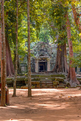 Ta Prohm temple ruins hidden in jungles at Angkor Wat - Wall carving with woman famous Angkor Wat complex, Siem Reap, Cambodia