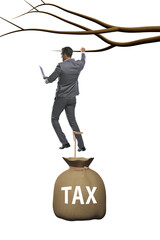 Businessman hanging on tree branch
