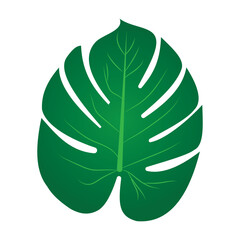 green leaf icons set.Tropical leaf Wallpaper, Luxury nature leaves pattern design, Golden banana leaf line arts, Hand drawn outline design for fabric , print, cover, banner and invitation, Vector illu