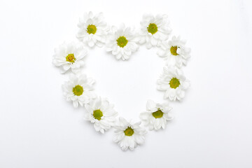 Camomile small group set isolated on white background as package design element.