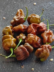 habanero chocolate