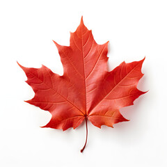 Obraz premium autumn maple leaf, transparent png background, Generative Ai