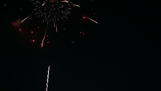 4K quality video of a variety of beautiful and colorful fireworks display for celebration in the night sky background