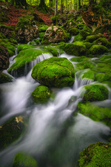 Stunning woodland source and cascades on the mossy rocks