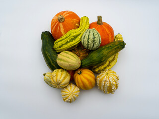 Many different colorful pumpkins on a white background. Halloween, harvest or fall concept. Small ornamental pumpkins