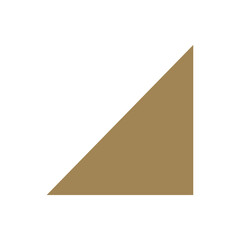 brown right triangle basic 2d shapes isolated, geometric triangle icon