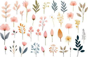 set of elegant Watercolor Minimalist Botanical Floral Art Illustrations, Watercolor Blossoms flowers, leaves, or plants in soft, pastel colors white background.