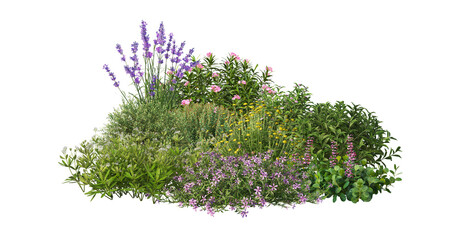 Small Flower Garden on Transparent Background