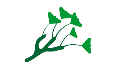 plant leaf grow vector illustration