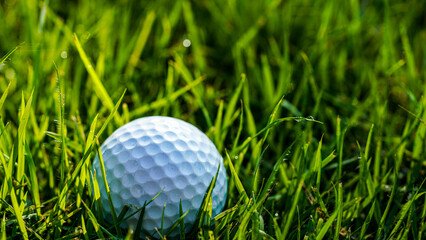 Golf ball is in the hazard area of the course.