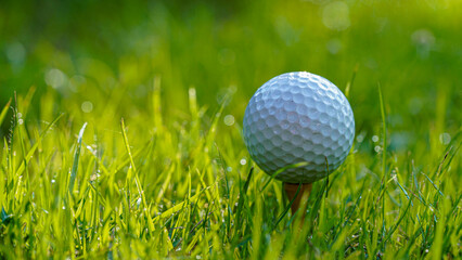 Golf ball is on tee at green lawn in a beautiful golf course with morning sunshine.