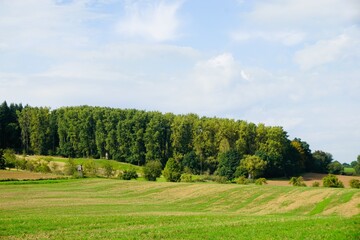 Grünes Landschaft Panorama mit Ackerfeld, Bäumen, Wald auf Berghügel vor blauem Himmel mit...
