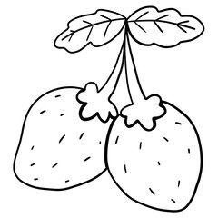 Digital paint strawberry gnomes isolated on white background. 