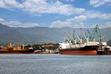 Cargo sea ships are unloading in the seaport.