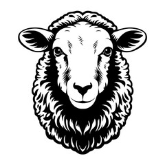 Sheep Vector