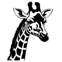 Giraffe Vector