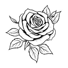 Rose Vector