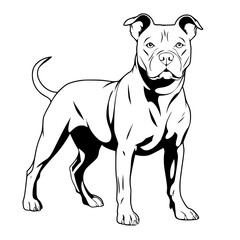Pitbull Vector
