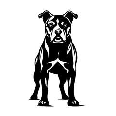 Pitbull Vector
