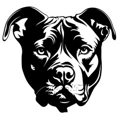 Pitbull Vector