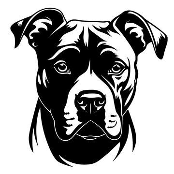 Pitbull Vector
