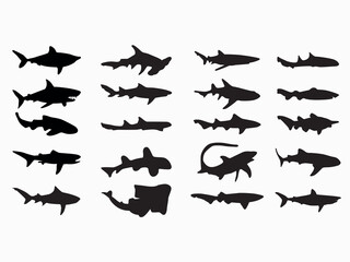 set of types of shark silhouette vector illustration on white background
