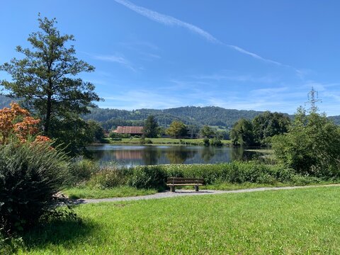 Landschaft: Gattiker Weiher in Gattikon / Thalwil im Sihltal - Zimmerberg im Kanton Z&uuml;rich