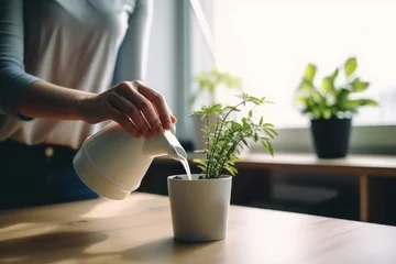Rolgordijnen Person watering plant pot. Indoor home. Generate Ai © nsit0108