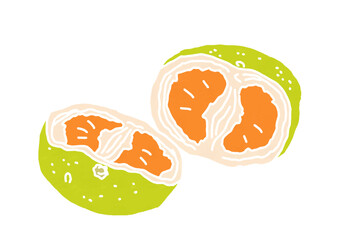 半分に割った黄緑色のみかんのイラスト（版画風）
