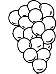 illustration of a grape
