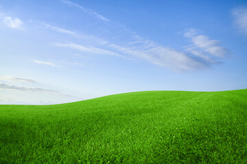 Fototapeta na wymiar Lush green grass under bright blue sky with clouds