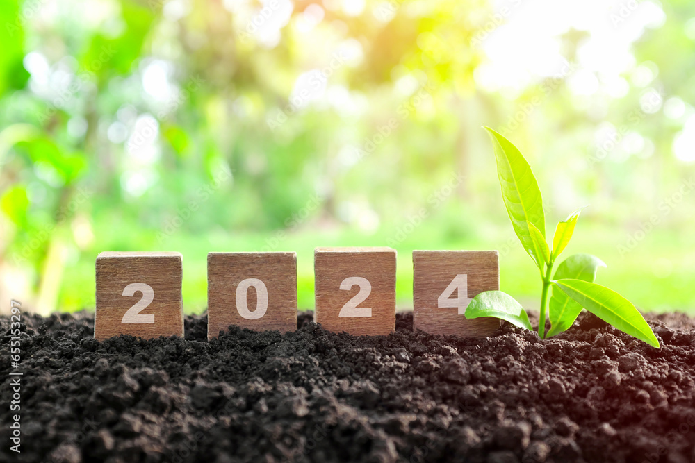 Canvas Prints Year 2024 in wooden blocks with growing plant at sunrise. Welcome new year 2024, symbol of hope, new life and new beginnings concept.