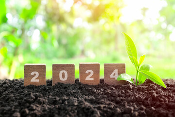 Year 2024 in wooden blocks with growing plant at sunrise. Welcome new year 2024, symbol of hope, new life and new beginnings concept. - obrazy, fototapety, plakaty
