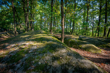 Fototapeta premium mythical stone giants and viklas and granit rockformation in Blockheide, natural reserve near Gmünd, Austria