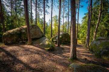 mythical stone giants and viklas and granit rockformation in Blockheide, natural reserve near Gmünd, Austria - obrazy, fototapety, plakaty