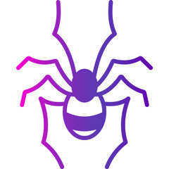 Spider

