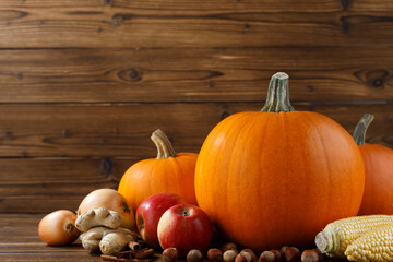 Autumn harvest still life with pumpkins