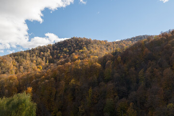 Obraz premium Armenian mountains covere with colorfull trees in autumn
