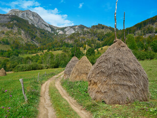 Late summer landscape of Via Transilvanica trail in Mehedinti Mountains, Romania, Europe	
