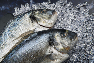 Closeup whole fresh raw fish chilling on the bed of cold chopped ice