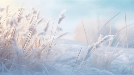 Photo sur Aluminium Bleu clair Winter photo background, grass and sky, snowy cold landscape