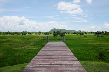 Wooden bridge with the grass land and rice farm view with the mountain in Thailand