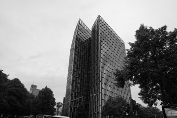 Sleek modern office in timeless monochrome